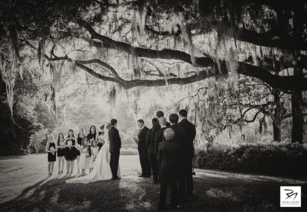 Charleston wedding photographers Middleton Place fine-art wedding photos-19.jpg