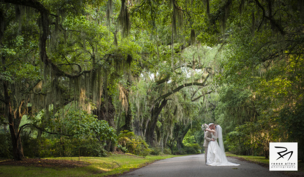 Magnolia Gardens Plantation wedding by Best Charleston photographer Reese Allen-10.jpg